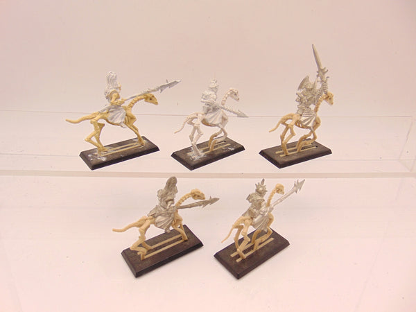 Black / Wight Knights