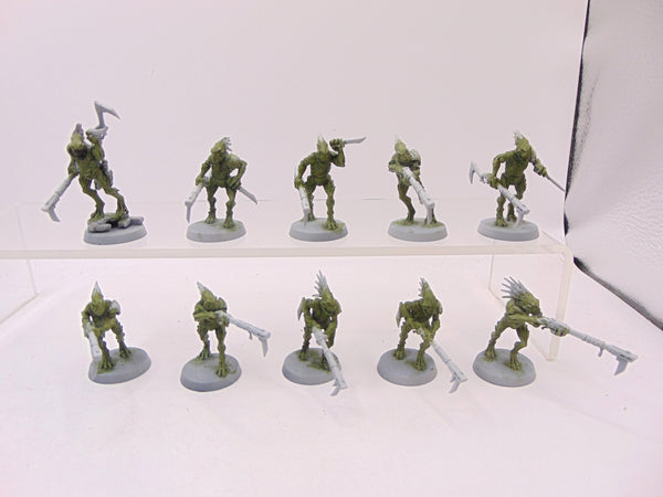 Kroot Carnivores