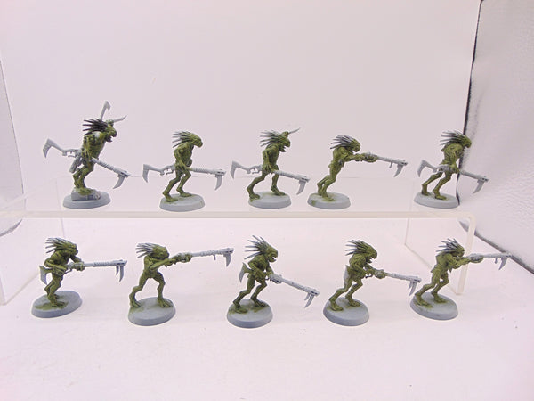 Kroot Carnivores