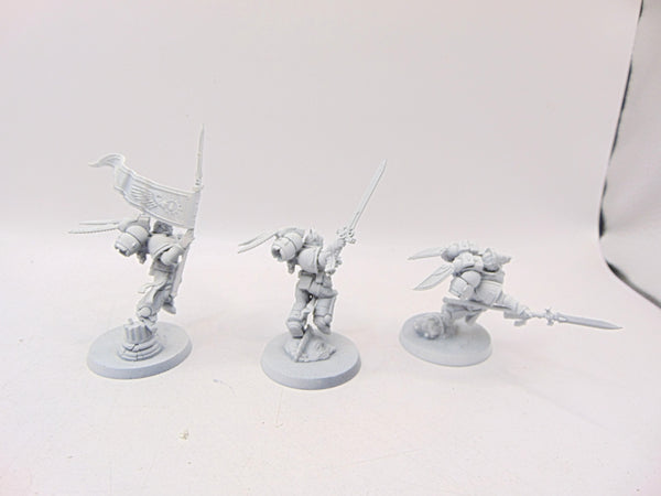 Sanguinary Guard