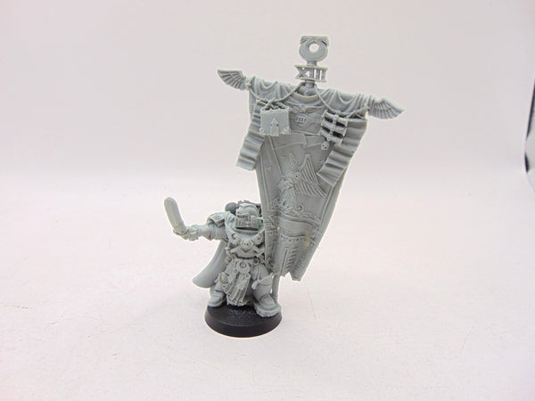 Blades of Ultramar Standard Bearer /  Chapter Ancient