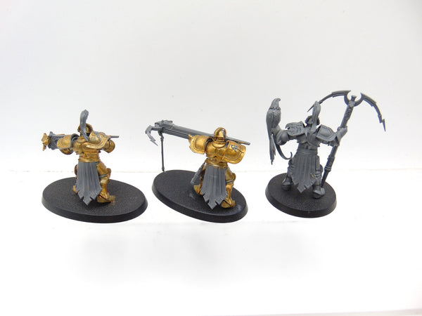 Vanguard Raptors