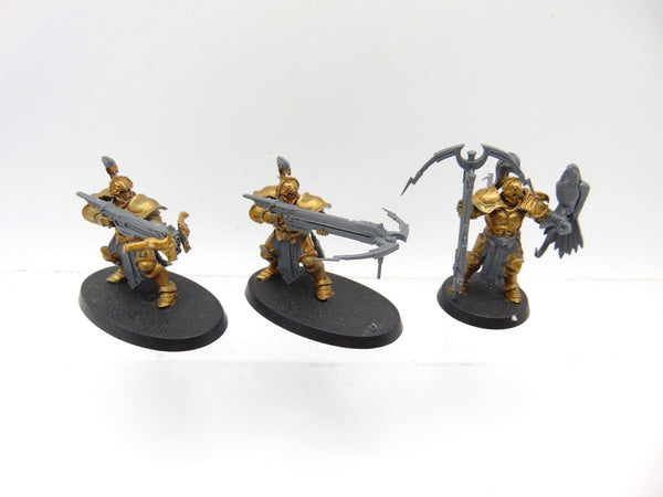 Vanguard Raptors