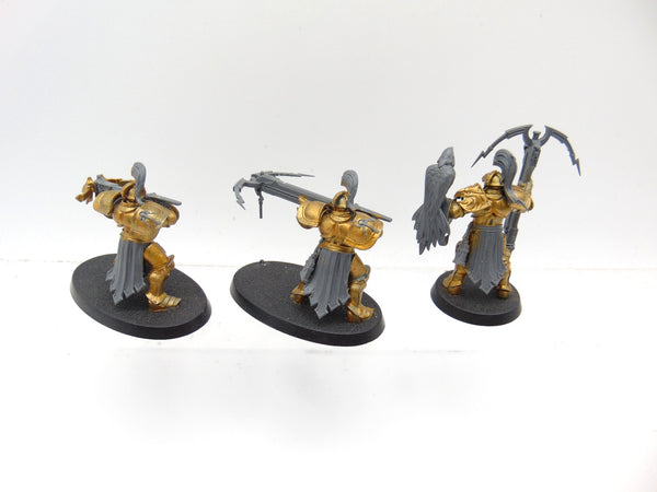 Vanguard Raptors
