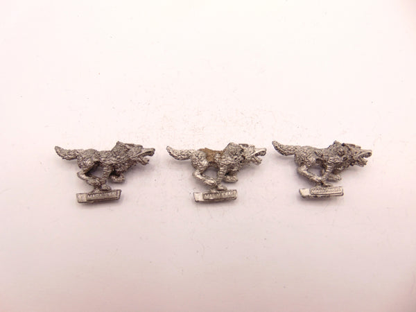 Wolf /  Wolves