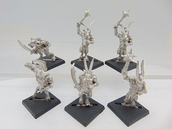 Beastmen / Gors