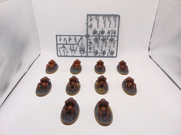 Grot Spider Riders