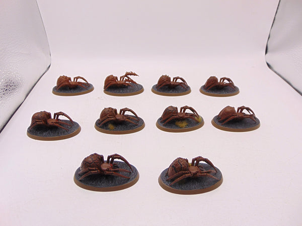 Grot Spider Riders