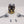Deredeo Dreadnought