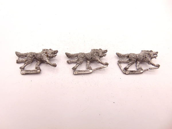 Wolf / Wolves