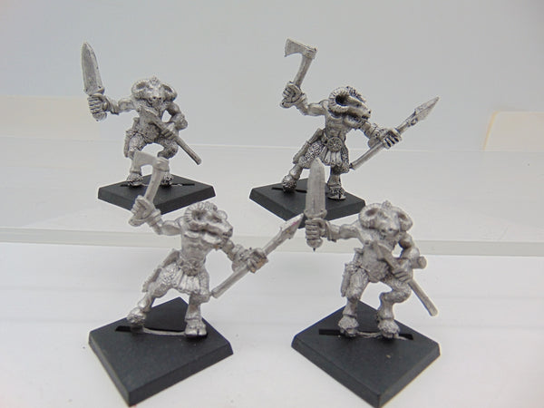 Marauder Beastmen