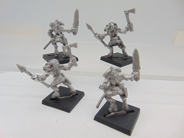 Marauder Beastmen