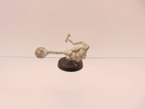 Night Goblin Fanatic