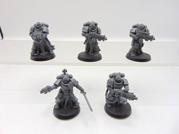 Sternguard Veterans