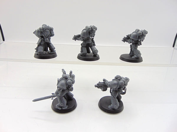 Sternguard Veterans