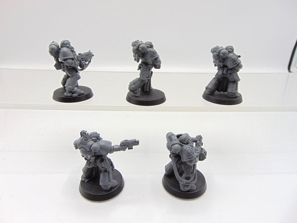Sternguard Veterans