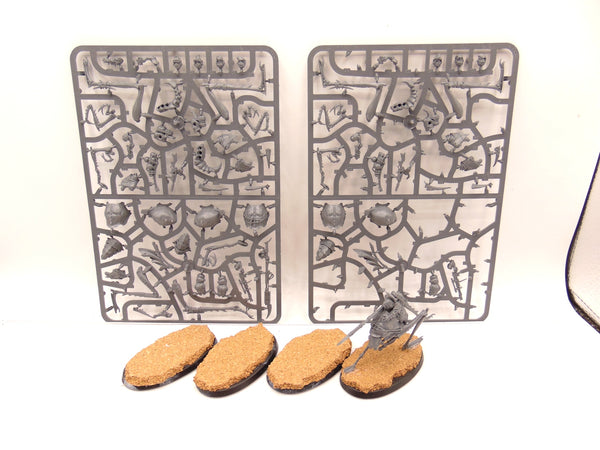 Ash Waste Nomads Dustback Helamites