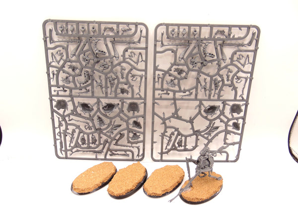 Ash Waste Nomads Dustback Helamites
