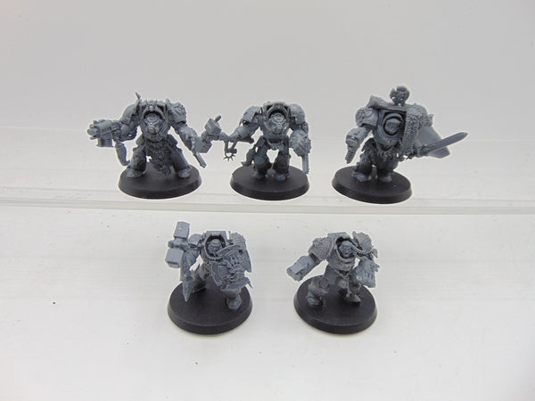 Wolf Guard Terminators