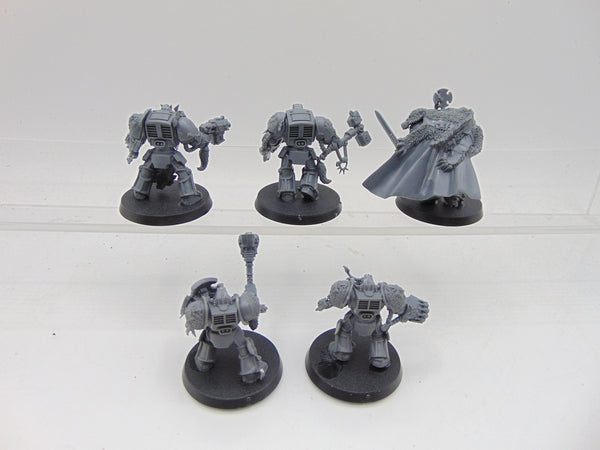 Wolf Guard Terminators