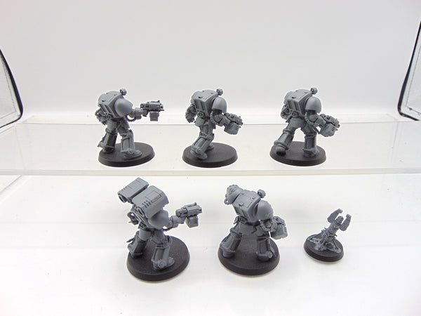 Terminator Squad