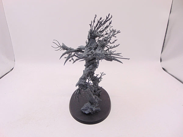 Treelord Ancient