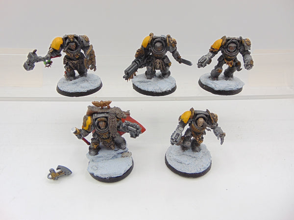 Wolf Guard Terminators