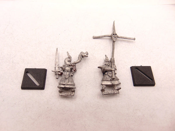 Dark Elf Command Standard & Musician