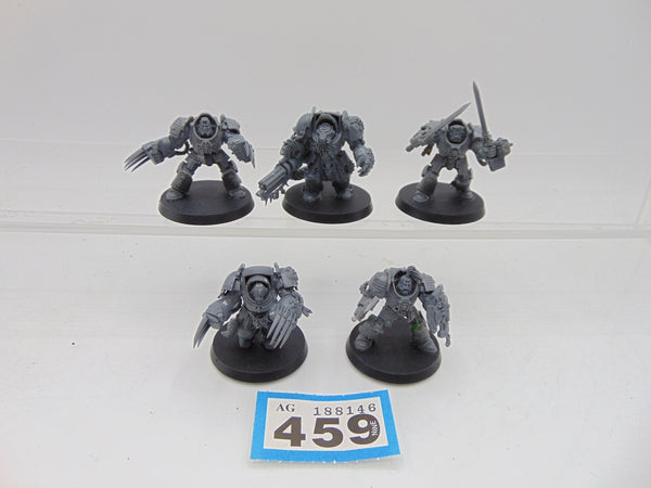 Wolf Guard Terminators