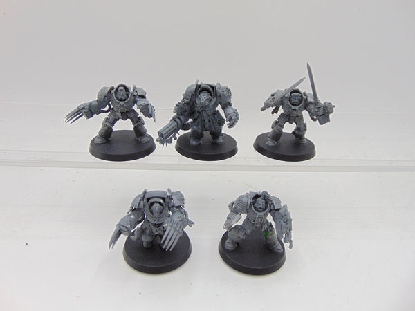 Wolf Guard Terminators