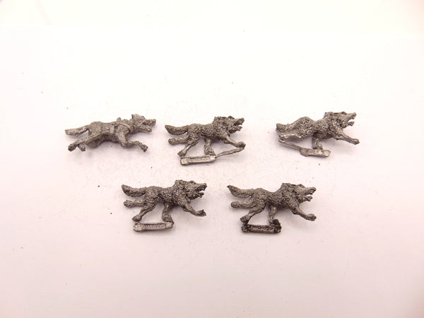 Wolf  / Wolves