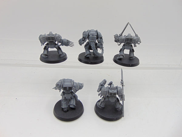 Wolf Guard Terminators