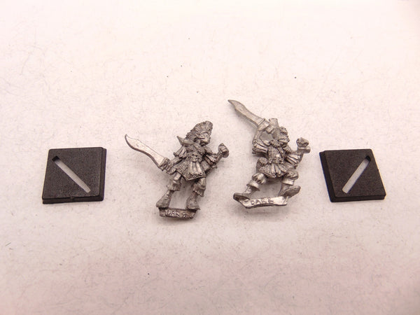 Dark Elf Warriors