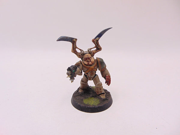 Aspiring Champion Conversion