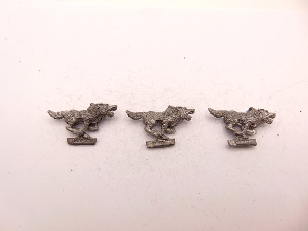 Wolf /  Wolves