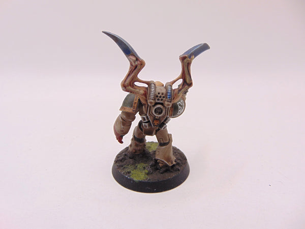 Aspiring Champion Conversion