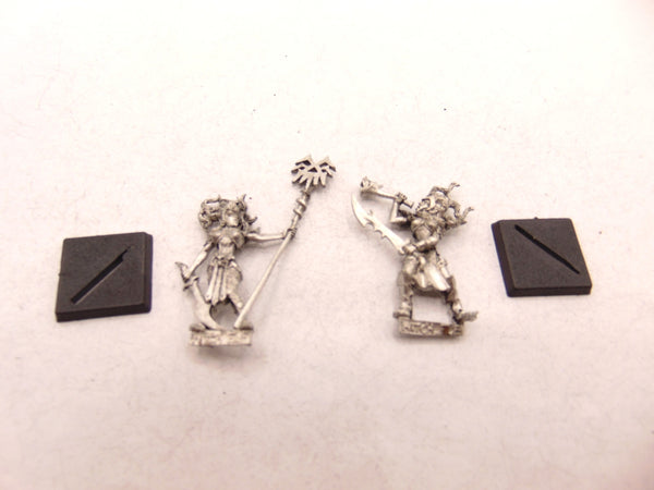 Witch Elves Standard & Musician