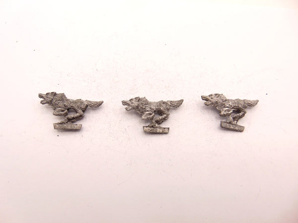 Wolf /  Wolves