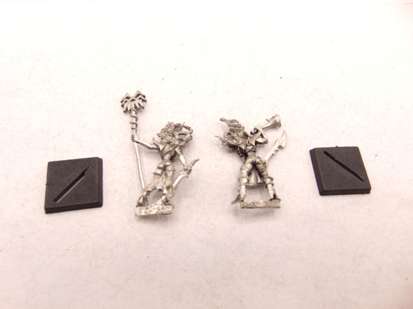 Witch Elves Standard & Musician