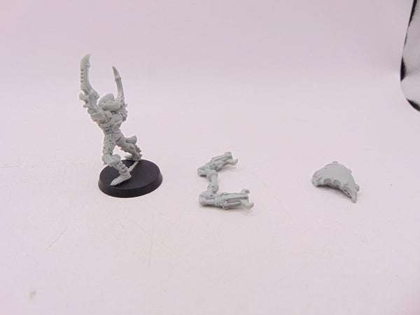 Warp Spider Exarch
