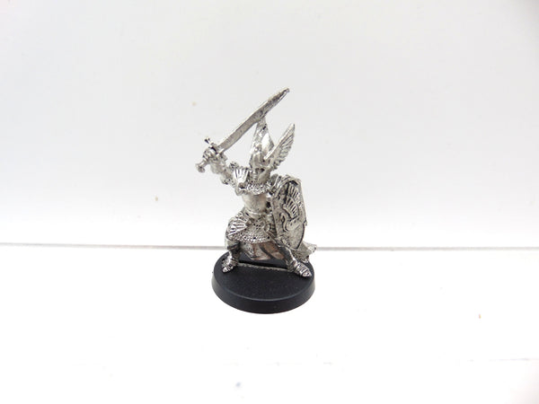 Swan Knights of Dol Amroth