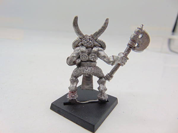 Chaos Beastmen Regiment Leader