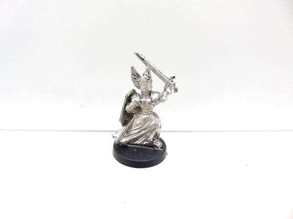 Swan Knights of Dol Amroth