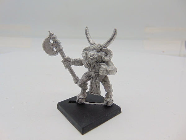 Chaos Beastmen Regiment Leader