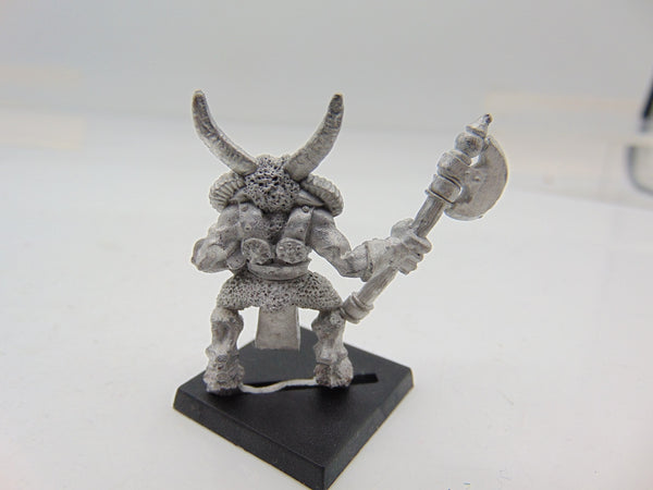 Chaos Beastmen Regiment Leader