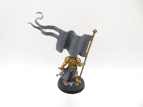 Knight Vexillor with Banner of Apotheosis
