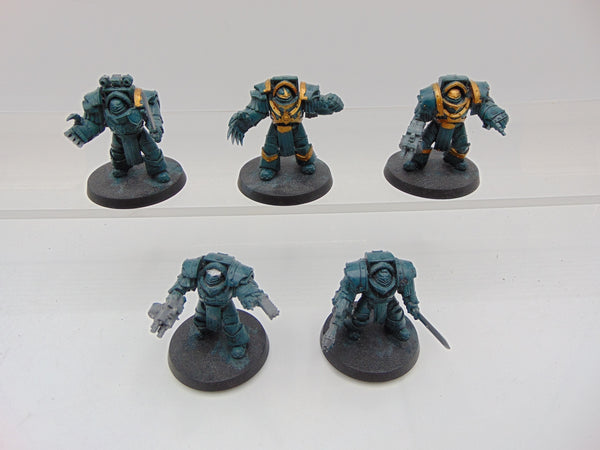 Cataphractii Terminator Squad