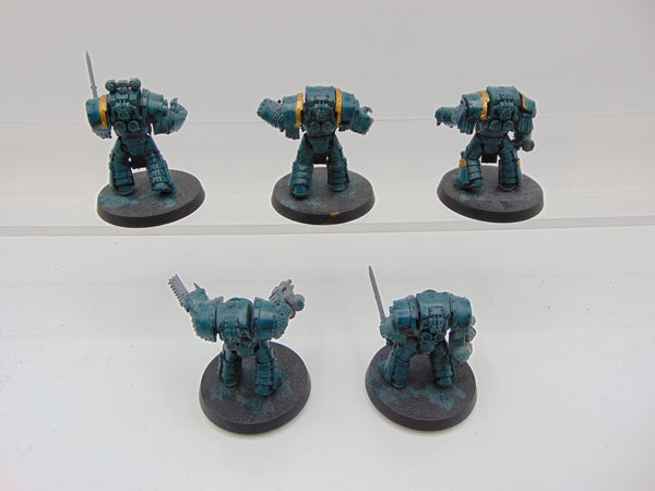 Cataphractii Terminator Squad