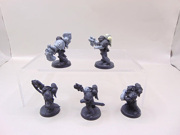 Sternguard Veterans