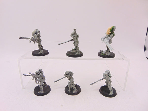Striking Scorpions